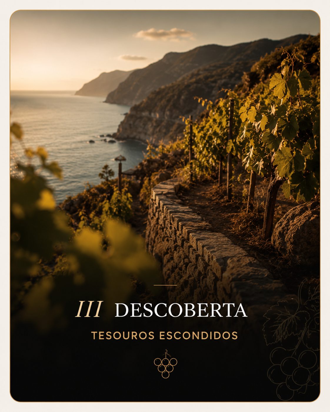 Coleção III — Descoberta: tesouros escondidos. Vinhedo em socalcos à beira-mar