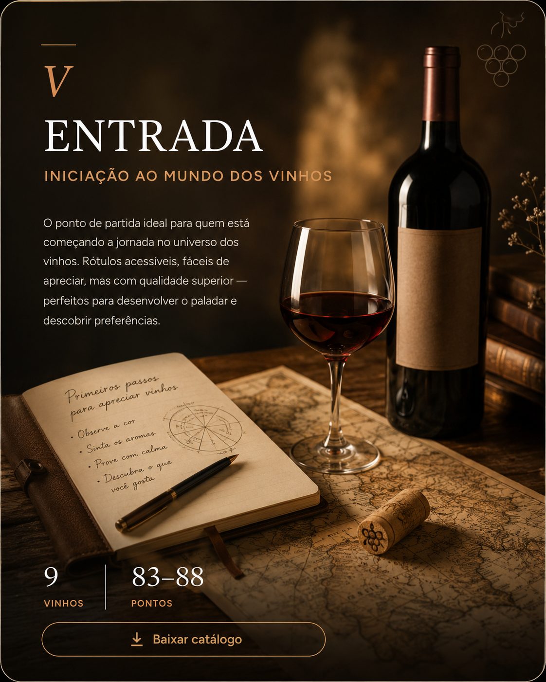 Coleção V — Entrada: iniciação ao mundo dos vinhos. Taça, garrafa e caderno de anotações